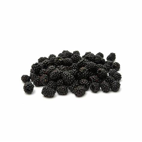 Organic Blackberries 12 oz