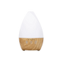 Homeocan Essencia Designer Diffuser