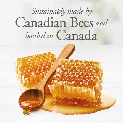 Dutchman's Gold Pure Raw Honey 500gm