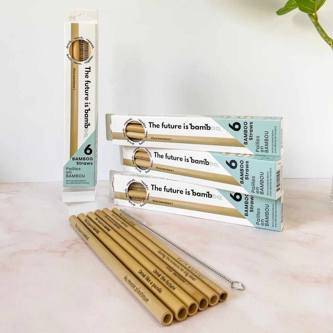 The Future is Bamboo Straws 6 pack