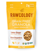 Rawcology Organic Lemon Ginger with Camu Camu Raw crunch Granola 200gm