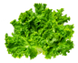 Lakeside Organic Green Leaf Lettuce Ontario 2 Bunches