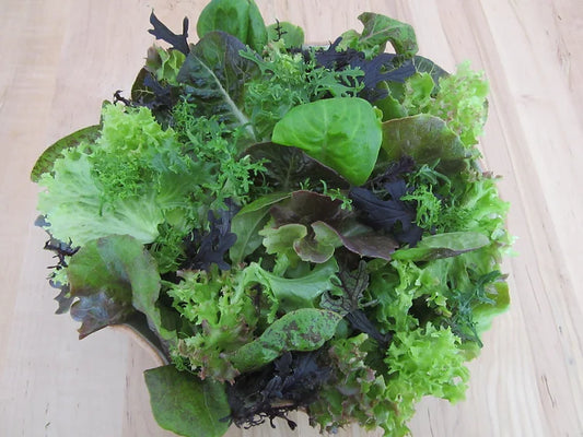 4 Acres Zesty Spring Mix 150gm