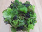4 Acres Zesty Spring Mix 150gm