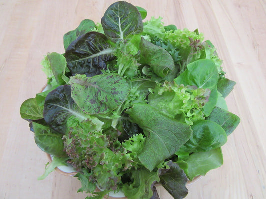 4 acres Lettuce leaf 150gm
