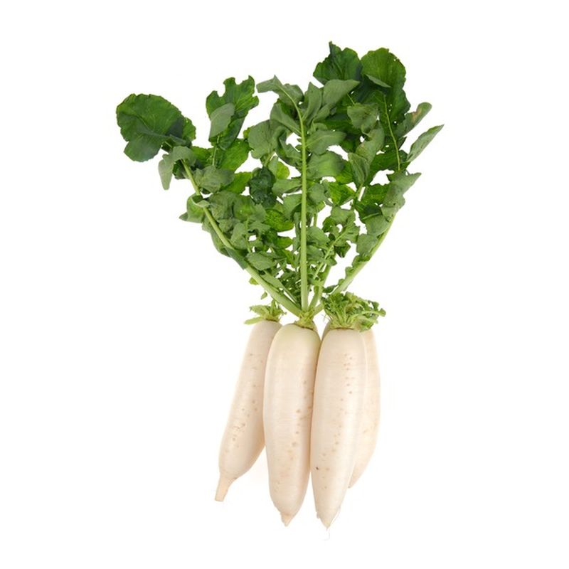 Patchwork Garden Organic Daikon Radish Retail bag