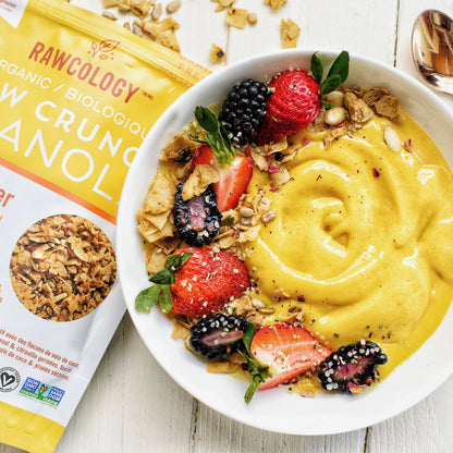 Rawcology Organic Lemon Ginger with Camu Camu Raw crunch Granola 200gm